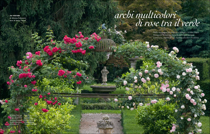 Speciale Le Rose