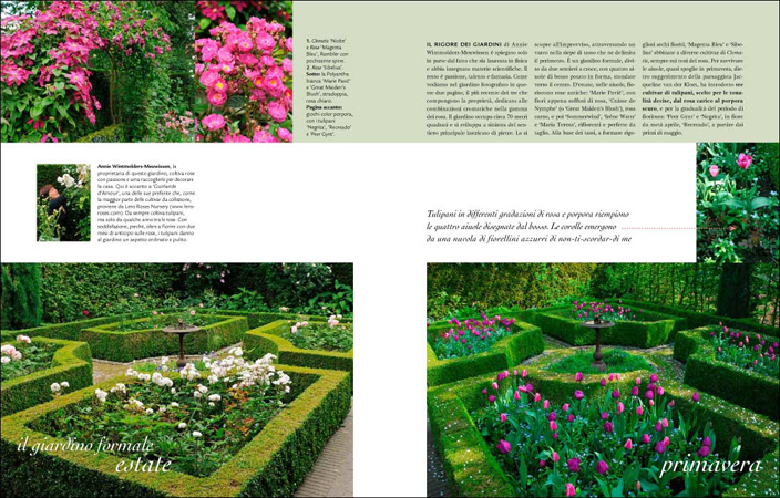 Speciale Le Rose